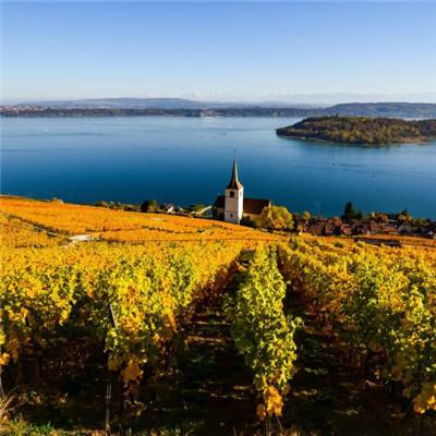 中欧·体育(KOK)中国官方网站app下载